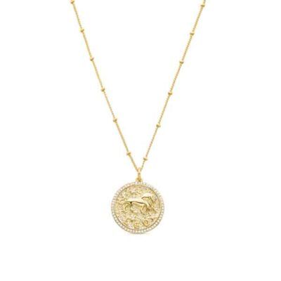 Collar Dorado con zirconitas Leo